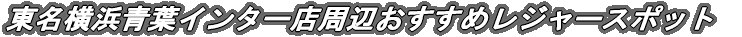 tC^[Xӂ߃X|bg