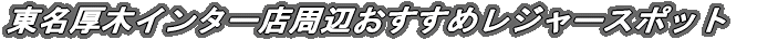 ؃C^[Xӂ߃W[X|bg