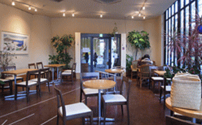 cafe du GABO cafe du GABO
