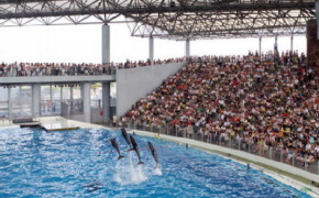 横浜・八景島シーパラダイス 横浜・八景島シーパラダイス