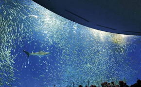 名古屋港水族館 名古屋港水族館